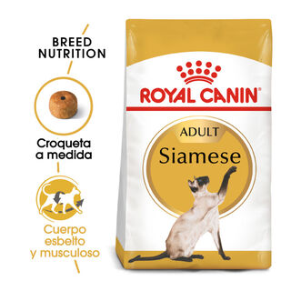 Royal Canin Adult Siamese pienso para gatos